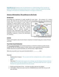 NGSS Pathways to the Brain