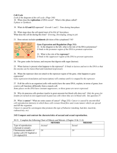 Cell Cycle Look at the diagram of the cell cycle. (Page 248) 18