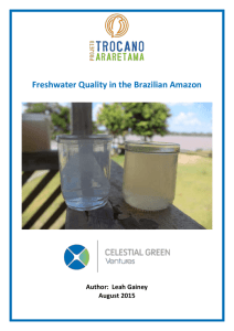 Fresh Water In The Brazilian Amazon