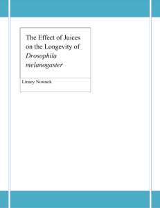 The Effect of Juices on the Longevity of Drosophila melanogaster