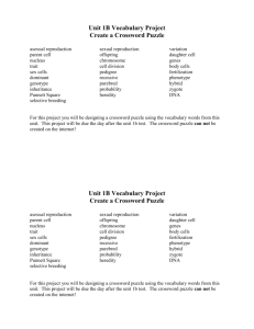 Unit 1B Vocabulary Project