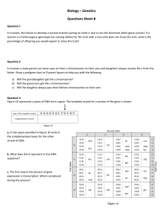 Student Handout - 04 Worksheet B Short Answers