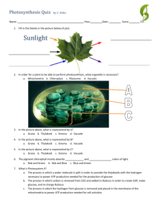 Photosynthesis Quiz by C. Kohn Name: Hour Date: Score /15
