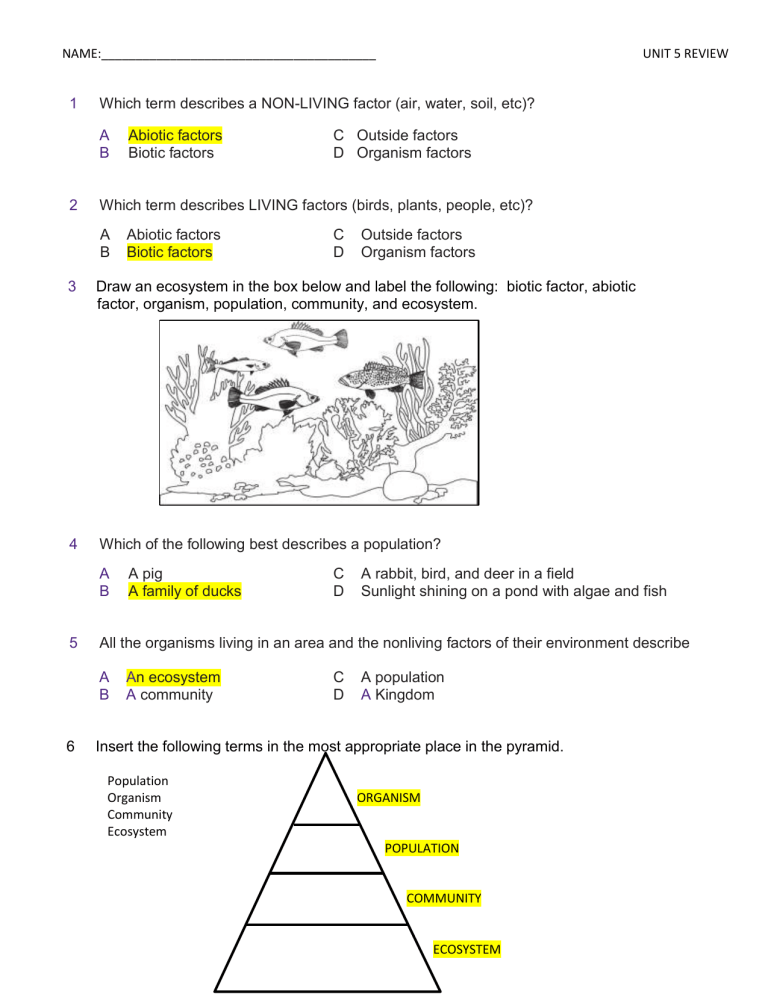 name-5-review-which-term-describes-a-non