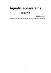 Aquatic ecosystem delineation and description guidelines