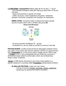 1.5 proteins and nucleic acids notes 2012