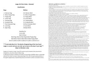 Judge: Mr Chris Culley * (Amatol) - North of England Rottweiler Club