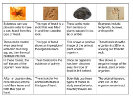 Lesson 1 | Fossil Evidence of Evolution