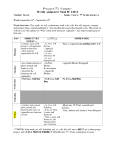 Weekly Assignment Sheet 2011-2012