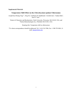 Temperature Shift Effect on the Chlorobaculum tepidum Chlorosomes
