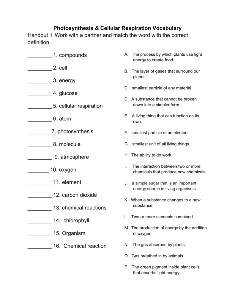 photosynthesis-cellular-respiration-vocabulary