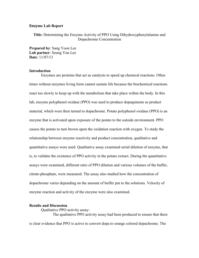 enzyme lab report examples