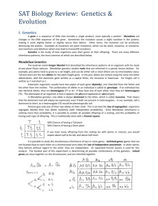 SAT II Biology Review: Genetics and Evolution