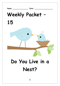 Weekly Packet – 15 Do You Live in a Nest? - 3C