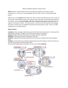 Mitosis and Meiosis Study Points