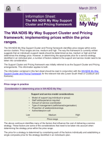 Support clusters and price framework