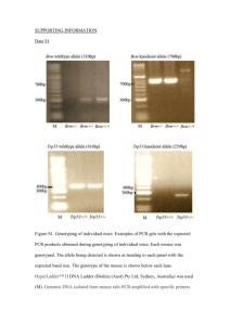 SUPPORTING INFORMATION Data S1 Figure S1. Genotyping of
