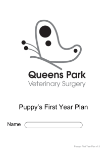 Puppys First Year Plan v1.3