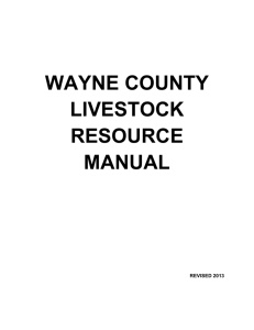 File - Wayne County 4H Livestock