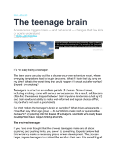 The teenage brain