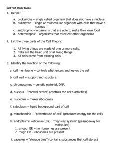 Cell Test Study Guide Define: a. prokaryote – single celled organism