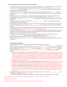 Review Sheet Key