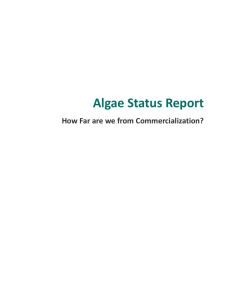 Algae Status Report * How far are we from