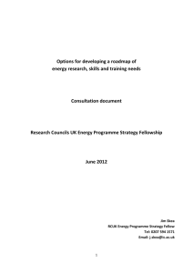 RCEP Strat Fellow options paper - Workspace