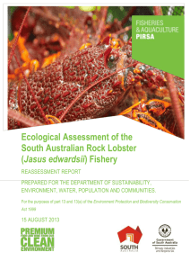 Ecological Assessment of the South Australian Rock Lobster (Jasus