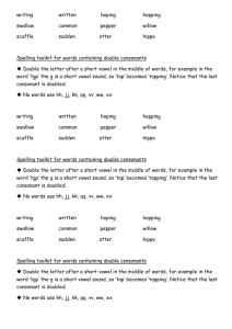Spelling toolkit for words containing double consonants