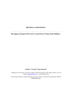 Big Fish in a Small Market: The impact of Export Price on Ex