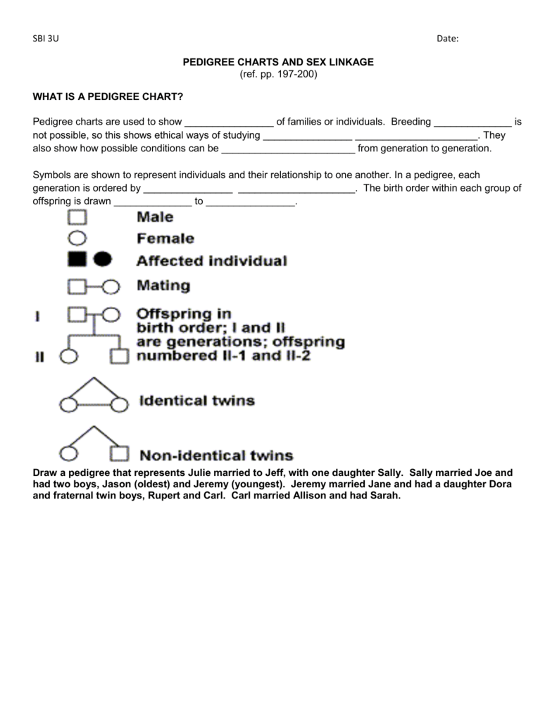 Pedigree Chart Rules