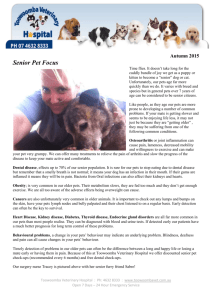 Newsletter_-_Autumn_2015 - Toowoomba Veterinary Hospital
