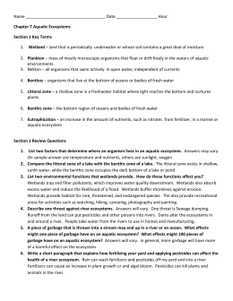 The Coral Reef Ecosystem Essay Coral Reef Ecosystems Thesis Statement Persuasive Essay also Examples Of Thesis Statements For Essays Examples Of Proposal Essays