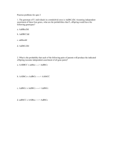 Practice problems for quiz 2 1. The genotype of F1 individuals in a