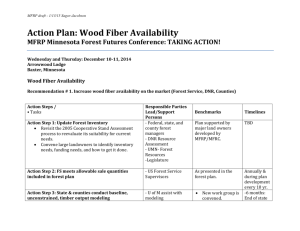 Wood Fiber Action Plan - Minnesota Forest Resources Partnership