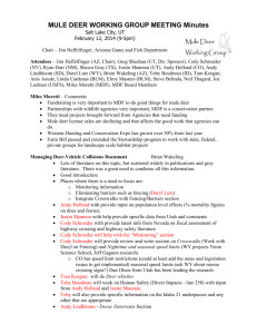 MDWG Meeting Minutes 2014 0212 SLCb