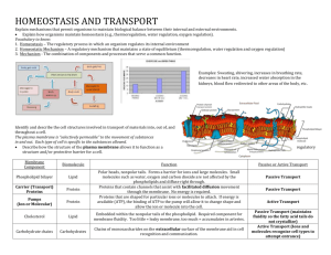 Keystone Exam Review Packet