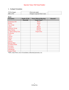 Blank APD Drilling Plan Template (Microsoft Word Document)