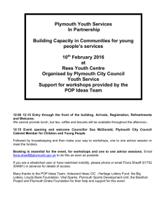 Schedule Youth Service Partnership & Building Capacity