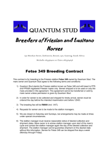 Quantum Stud Breeders of Friesian and Lusitano Horses