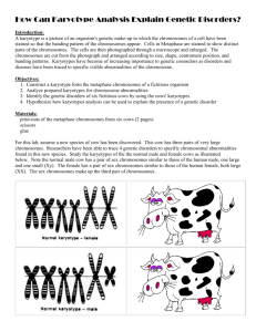 How Can Karyotype Analysis Explain Genetic Disorders cows