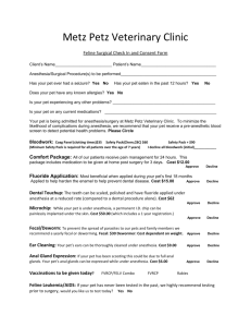 Feline Surgical Check-in and Consent Form
