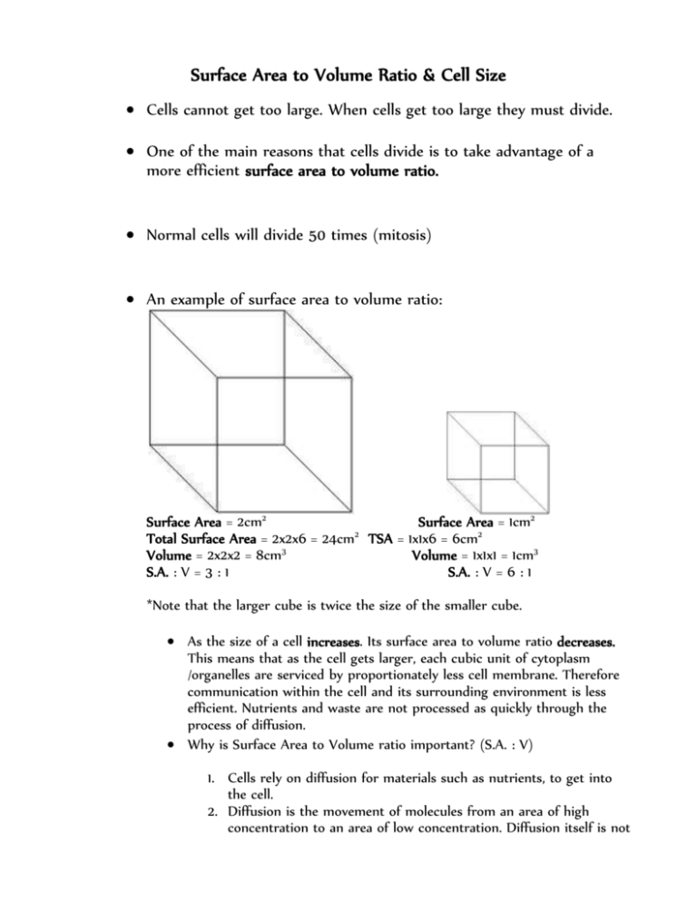 surface-area-to-volume-ratio-tutorial-youtube