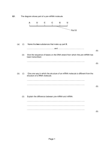 DNA, RNA and protein synthesis exam questions