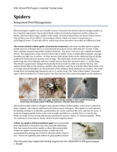 IPM for Spiders