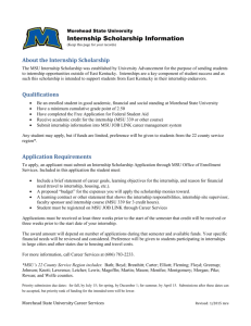Internship Scholarship Application