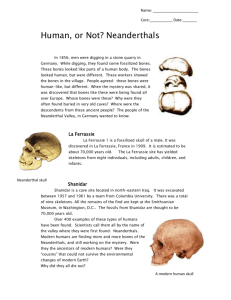 Neanderthal fossils
