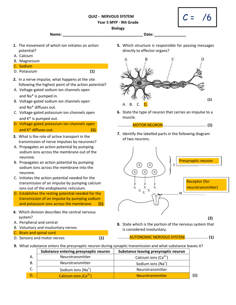 C 6 QUIZ NERVOUS SYSTEM Year 5 MYP