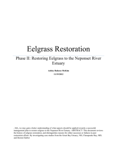 PII Eelgrass Restoration EDIT - BIOEEOS660-f12